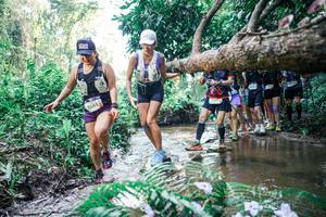 BIB: 
                            <button type="button" onclick="openModal(25466776)" class="btn btn-primary btn-sm float-right btn-popup" data-toggle="modal" data-target=".modal-high-quality">
                        <i class="fas fa-shopping-cart"></i> Add to Cart
                    </button>
                                            <button type="button" onclick="isThisMe(25466776, true)" class="btn btn-success btn-sm float-right btn-popup btn-isme hidden" data-toggle="tooltip" data-placement="bottom" title="นี่คือรูปของคุณใช่ไหม คลิกที่นี่เพื่อเอาเข้าอัลบั้ม">
                        <i class="fas fa-plus"></i> Add to album
                    </button>
                    <button type="button" onclick="isThisMe(25466776, false)" class="btn btn-warning btn-sm float-right btn-popup btn-isnotme hidden">
                        <i class="fas fa-ban"></i> Remove from album
                    </button>